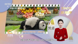 两姐妹法
